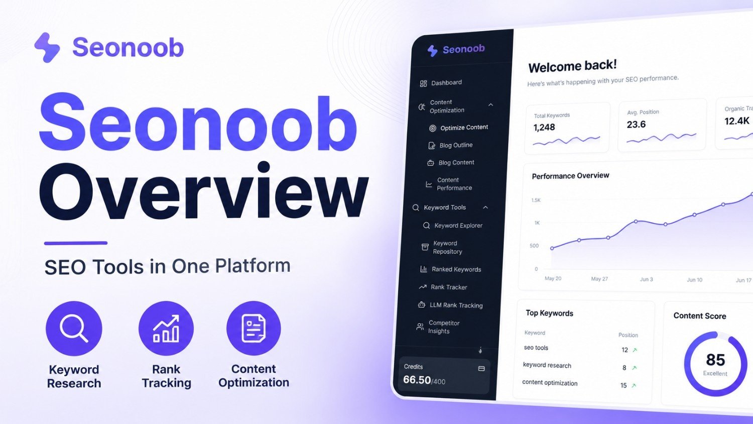 seonoob-overview